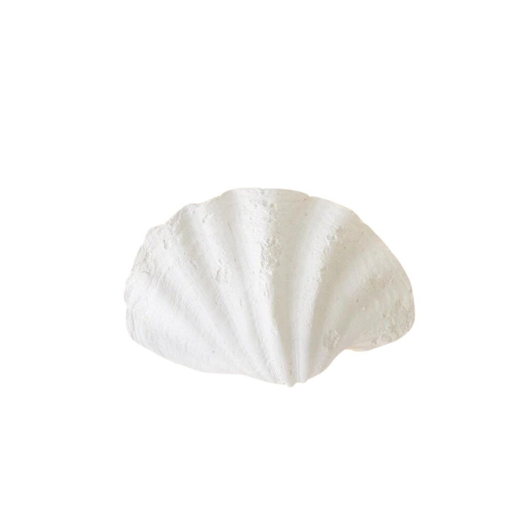 Applique Coquillage - Axel Chay - Design Contemporain - Maison Caldeira