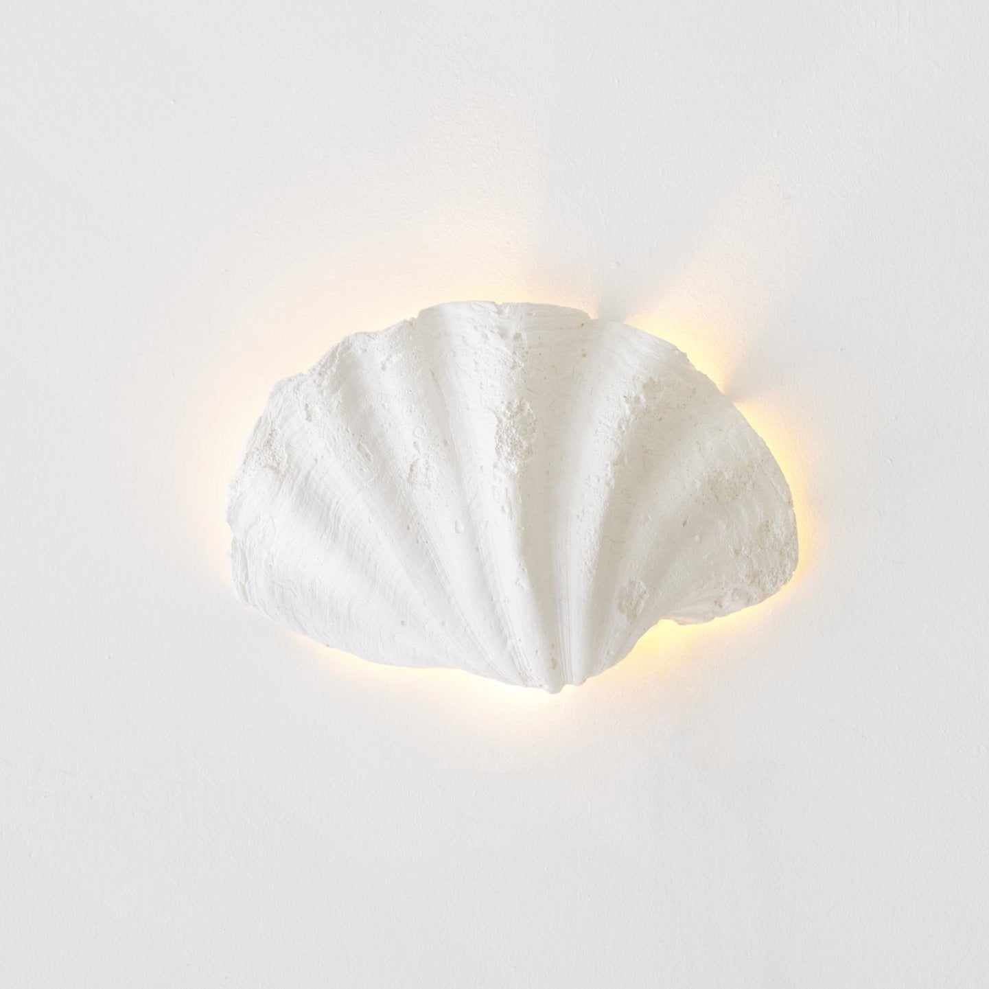 Applique Coquillage - Axel Chay - Design Contemporain - Maison Caldeira
