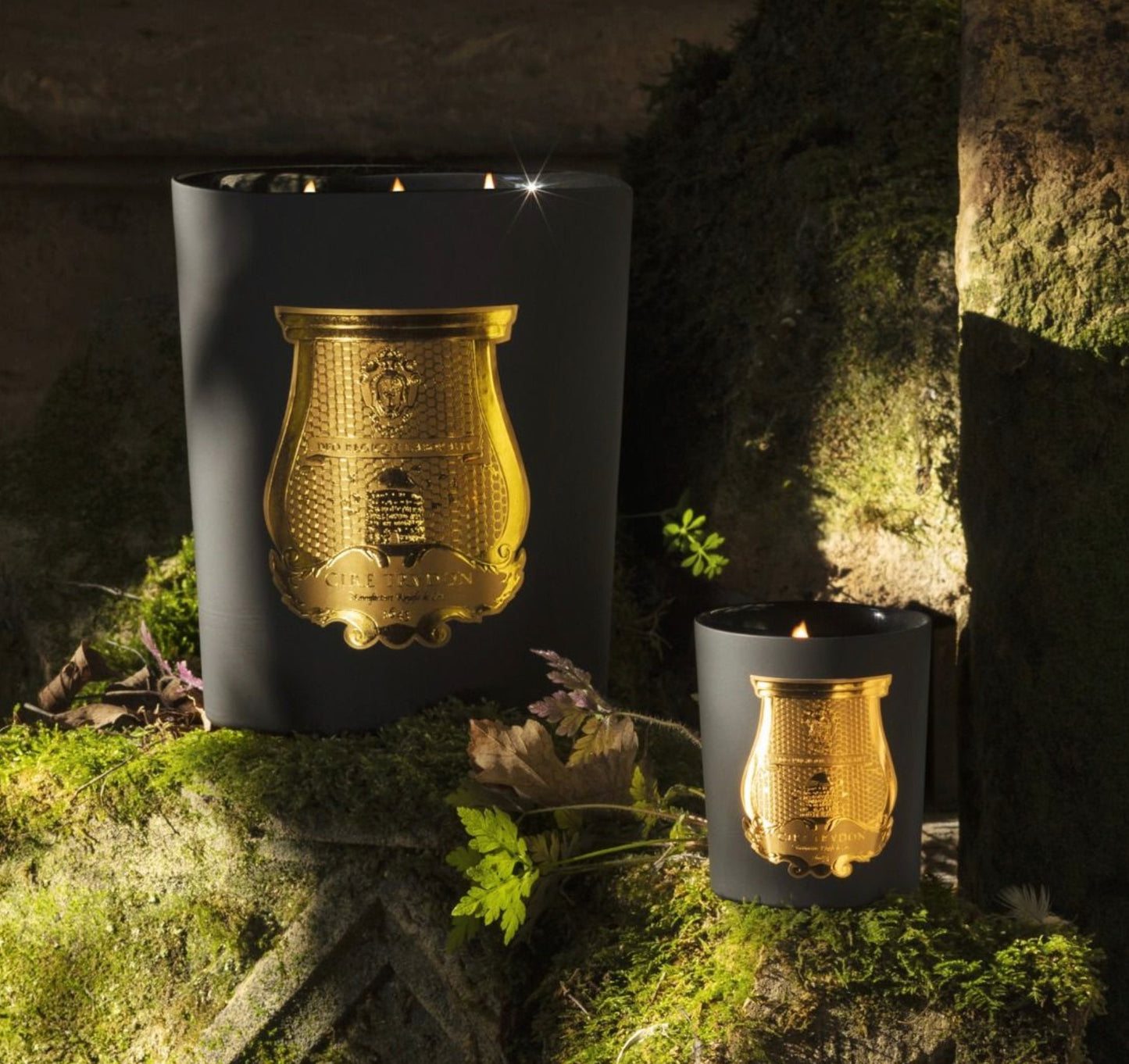 Bougie Cire Trudon Mary ( Cèdre et Bois de Gaiac ) - Maison Caldeira