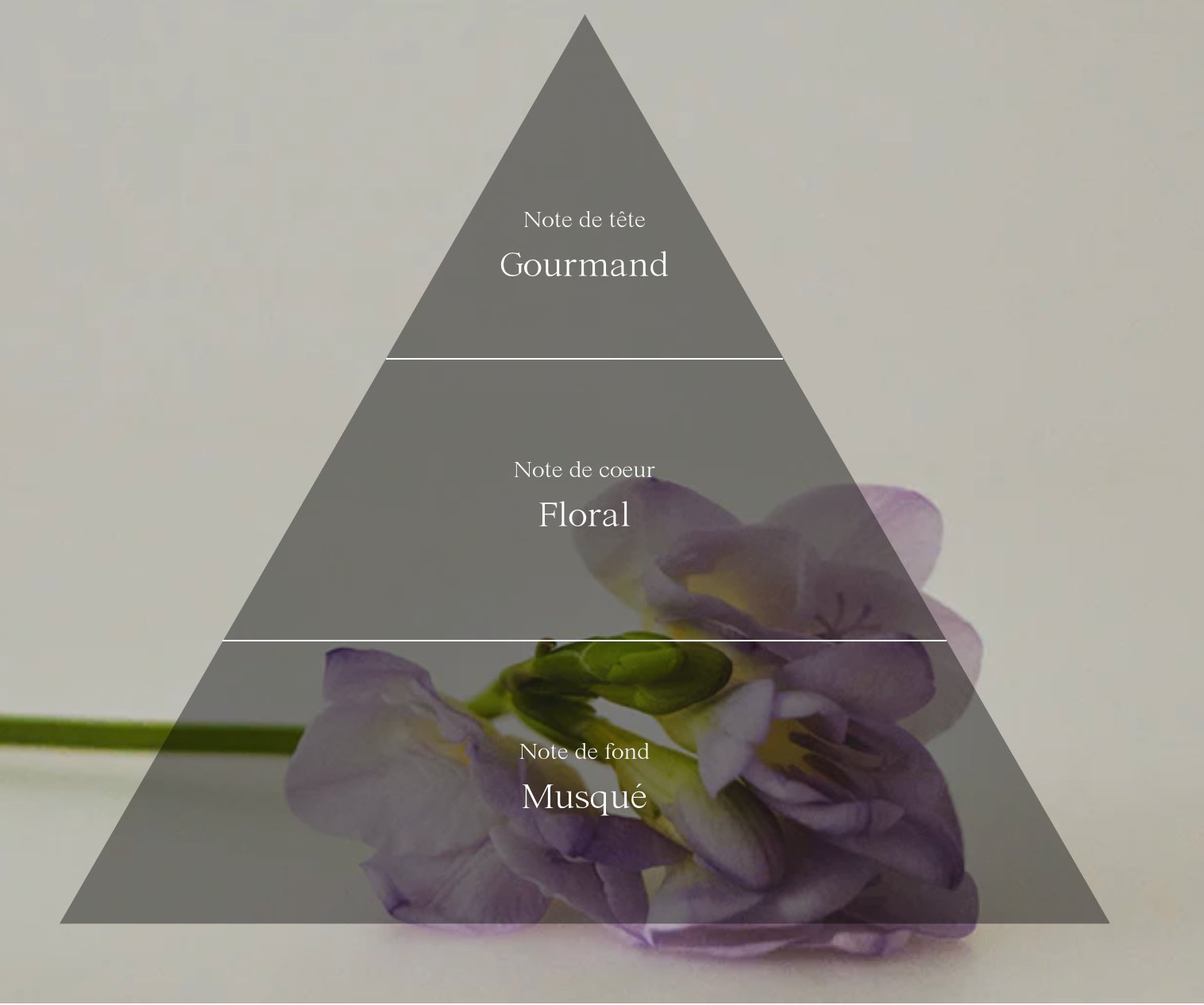 Gommage lacté - Under the milky way - Refeel - Maison Caldeira