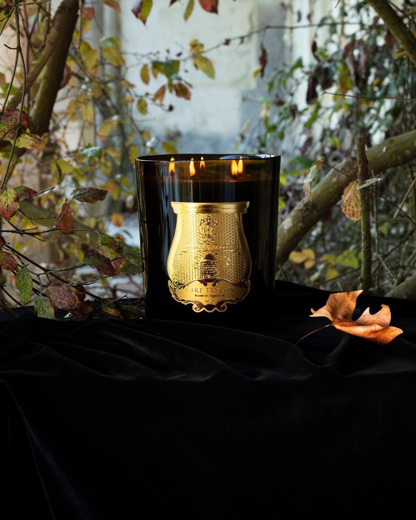 Grande Bougie Parfumée Ernesto (Cuir & Tabac) 2,8Kg - Trudon - Design Contemporain - Maison Caldeira