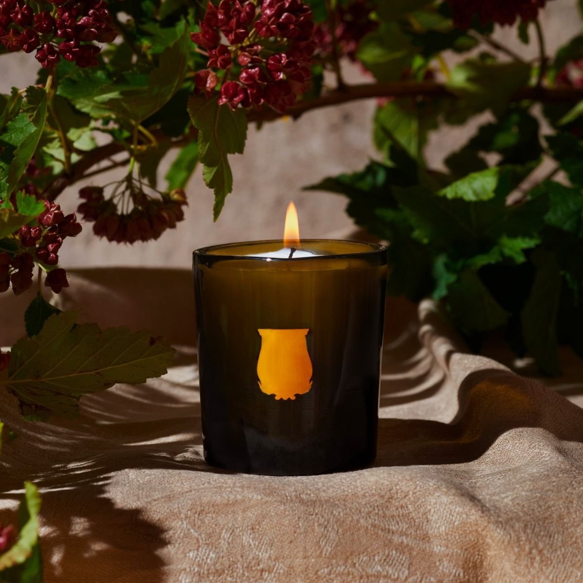 Petite Bougie Parfumée Cyrnos (Arômes Méditerranéens) 70g - Maison Caldeira