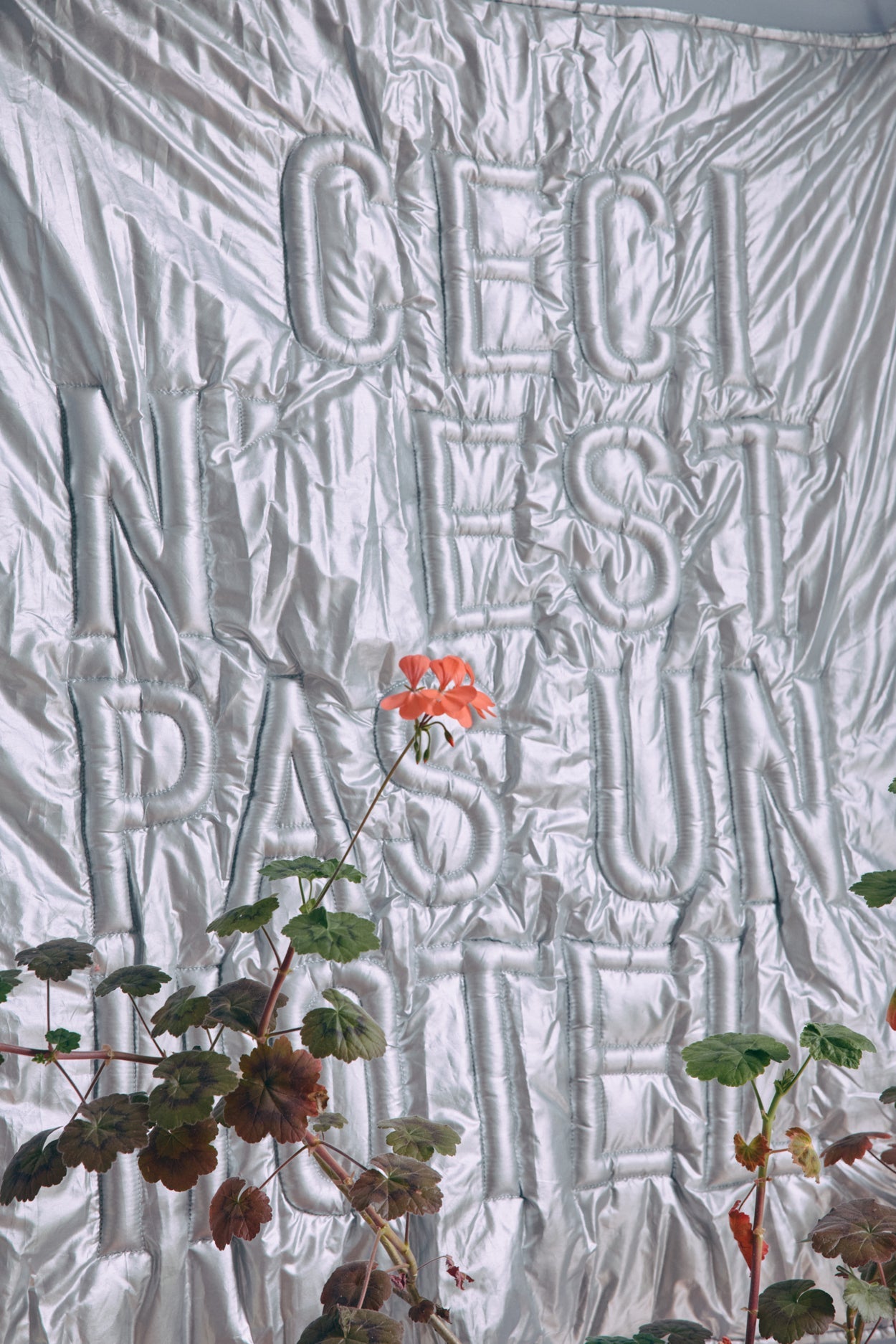 Art mural - Maison Caldeira