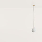 Ball - Maison Caldeira