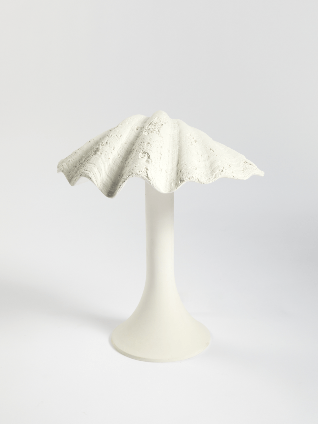 Lampe de table Coquillage - Maison Caldeira