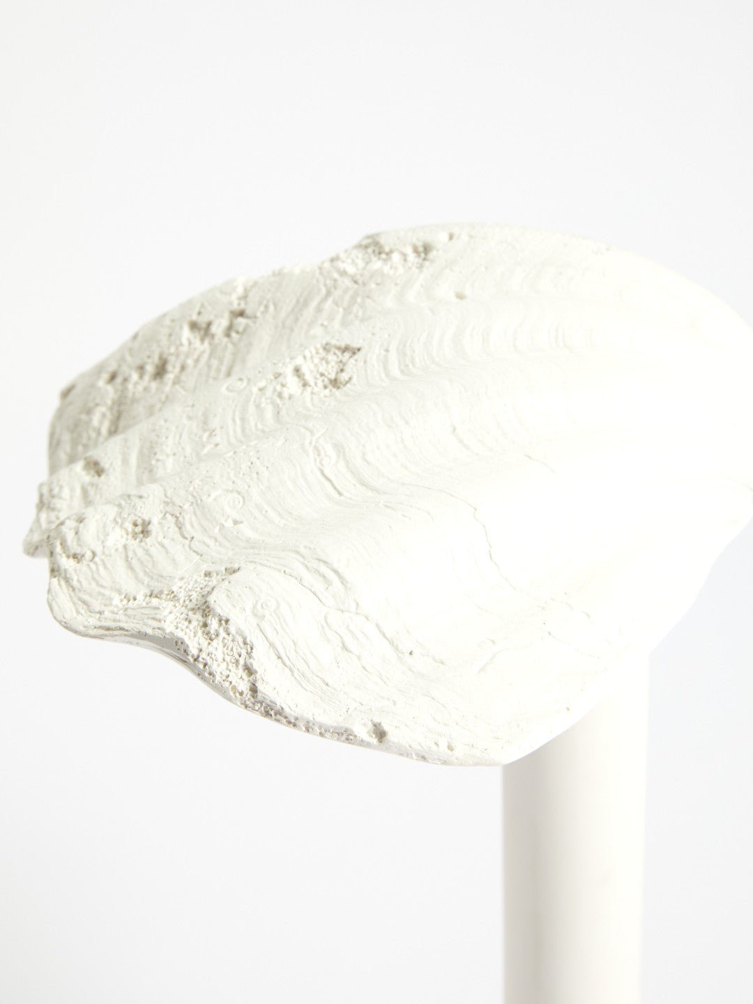Lampe de table Coquillage - Axel Chay - Design Contemporain - Maison Caldeira