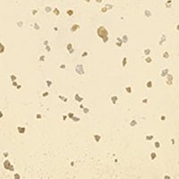 Mica - revêtement mural - Caldeira