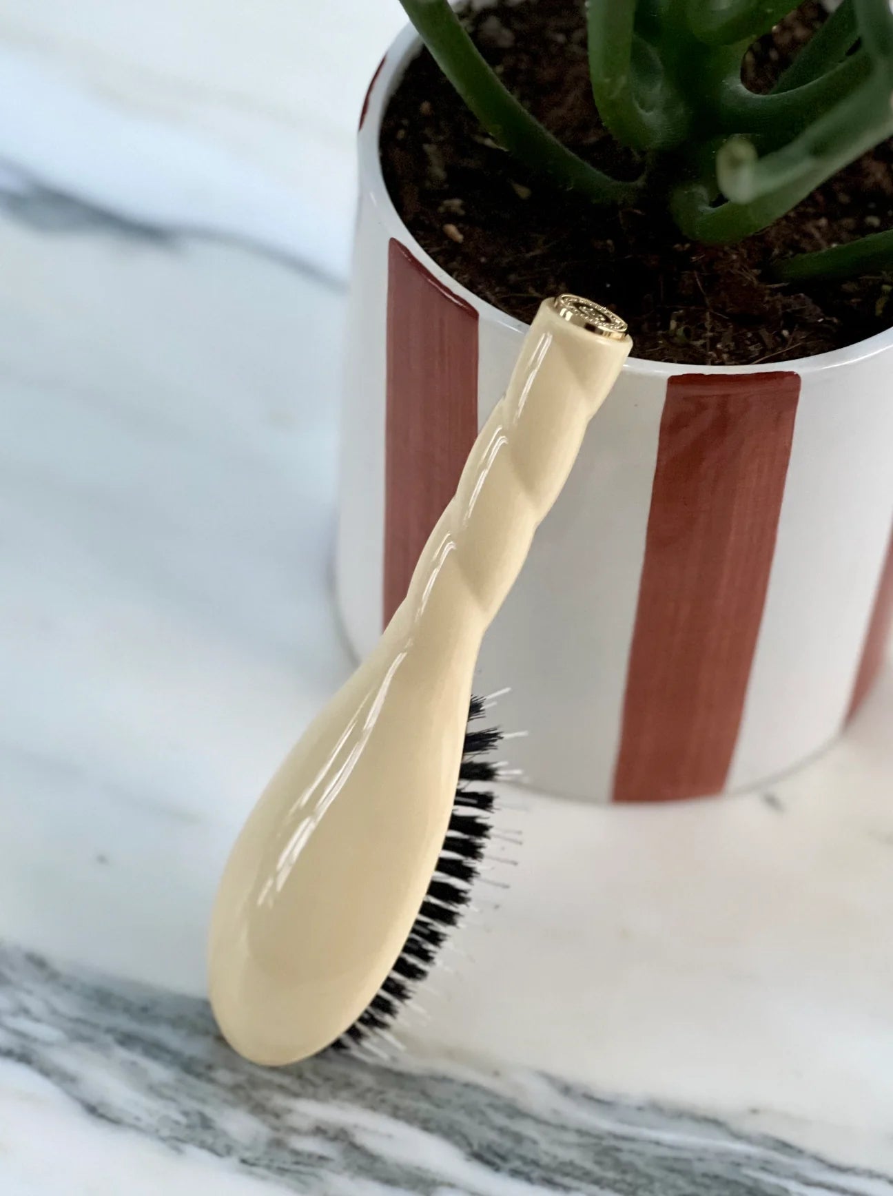 Petite Brosse à cheveux - N°2 L’INDISPENSABLE Ivoire Cair - Maison Caldeira