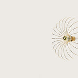 Spider - Maison Caldeira
