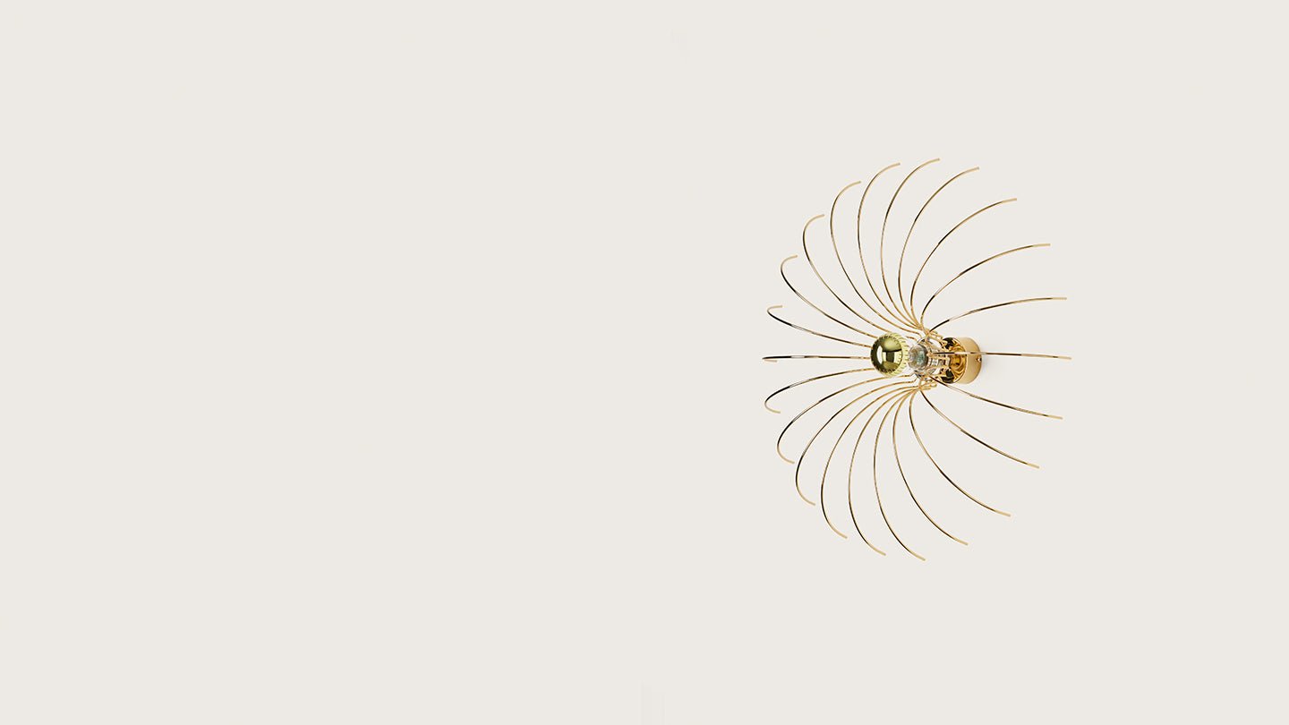 Spider - Maison Caldeira