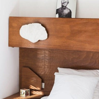 Applique Coquillage - Axel Chay - Design Contemporain - Maison Caldeira