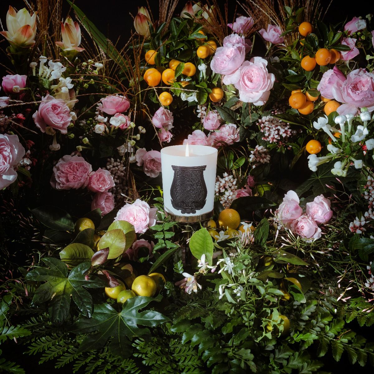 Bougie Cire Trudon & Giambattista Valli - Rose Poivrée - Maison Caldeira