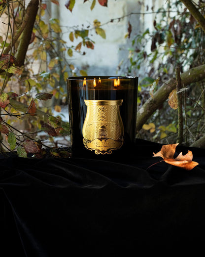 Grande Bougie Parfumée Ernesto (Cuir & Tabac) 2,8Kg - Trudon - Design Contemporain - Maison Caldeira