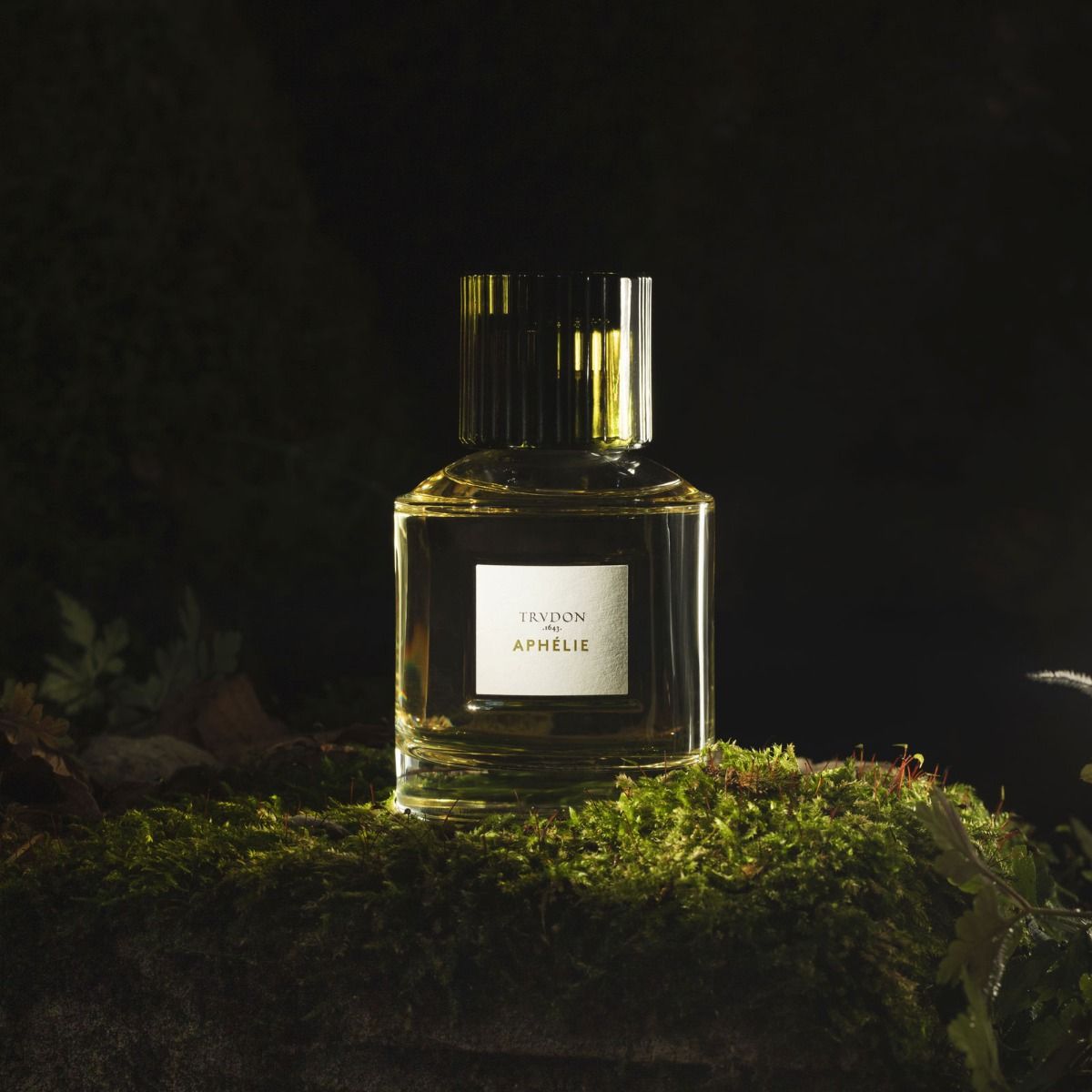 Parfum Aphélie (Nouveauté) - Maison Caldeira